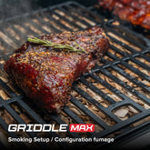 Gourmet Pro 6-Burner Graphite Dual Fuel Gas Grill with Searing Side Burner