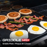 Gourmet Pro 6-Burner Graphite Dual Fuel Gas Grill with Searing Side Burner
