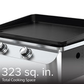 2-Burner Portable Propane Gas Grill with Griddle Top