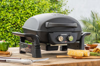 Fortress™ 2-Burner Cast Aluminum Gas Grill with Gourmet Plus™ Cooking System