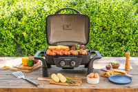 Fortress™ 2-Burner Cast Aluminum Gas Grill with Gourmet Plus™ Cooking System