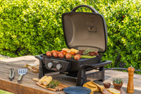 Fortress™ 2-Burner Cast Aluminum Gas Grill with Gourmet Plus™ Cooking System