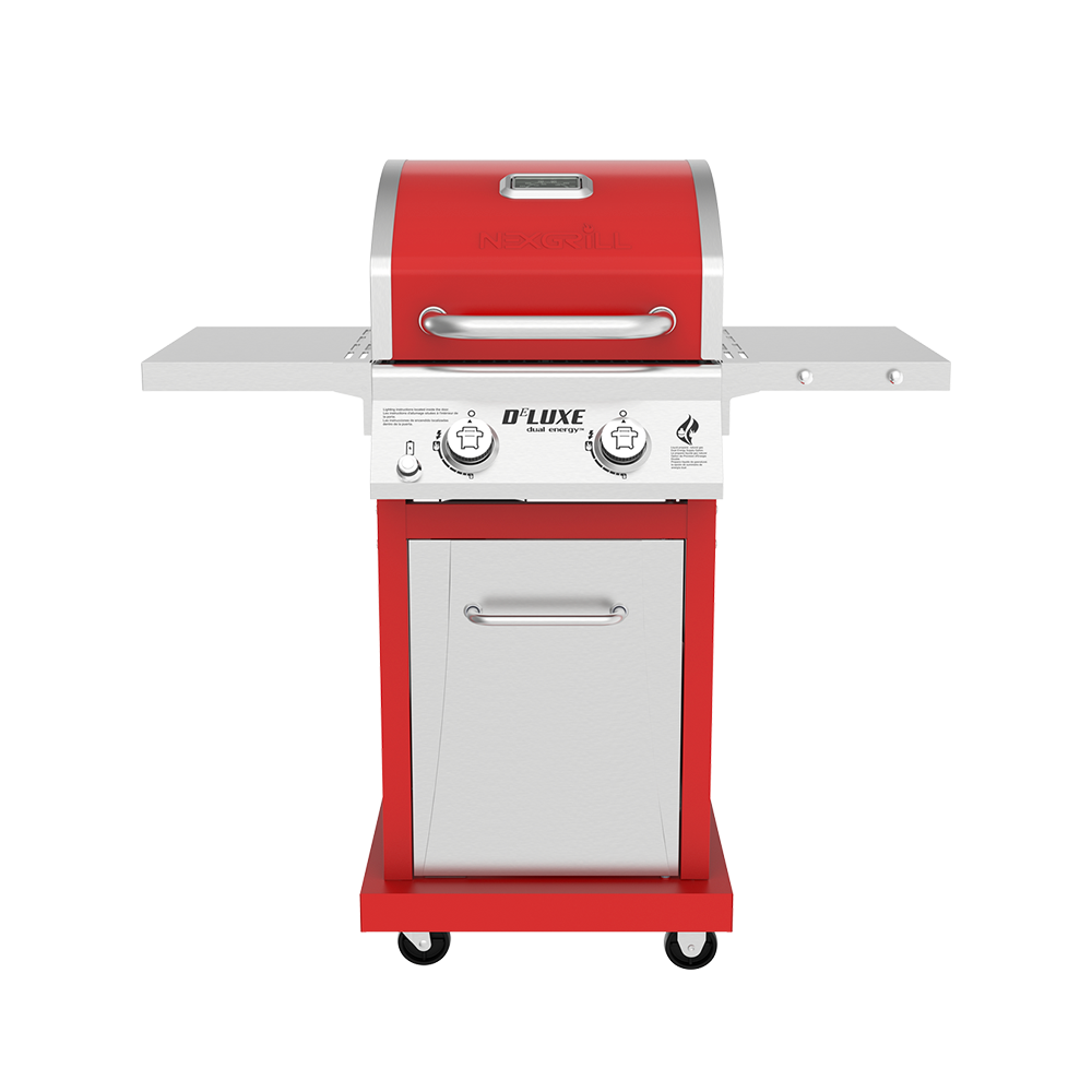 DEluxe 2-Burner Grill